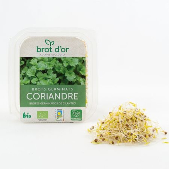 Brotes Germinados de Cilantro 70 g BrotDor Eco - Plantas Aromáticas y germinados