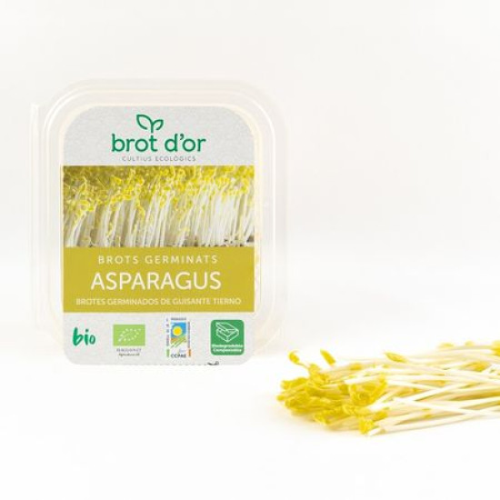 Sprouted sprouts of sparrec 50gr Gold sprout ECO - Aromatic and sprouted plants