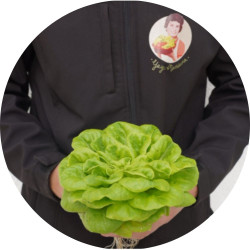 Lechuga Hidroponica Yaya Mariana