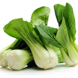 Pak Choi Und ECO