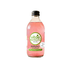 Kombucha Inmuno Manzana 250ml Vitae ECO