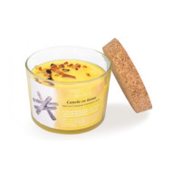 Bougie parfumée Cannelle et Orange Can vela ECO