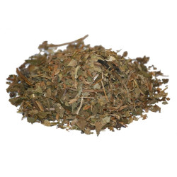 Llantén a granel 100gr aprox ECO
