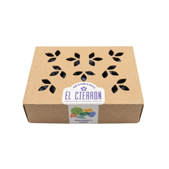 Arándanos Ecológicos  Bandeja 125gr. - Frutos del Bosque
