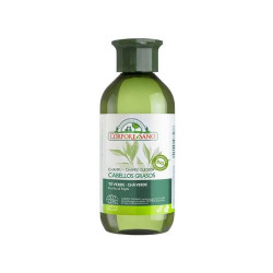 Champú cabellos grasos té verde ecológico 300 ml Corpore Sano