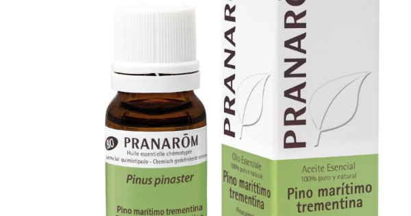 Pran Arob Huile Essentielle de Pin Maritime (Térébenthine) Bio 10 ml Pranarom ...