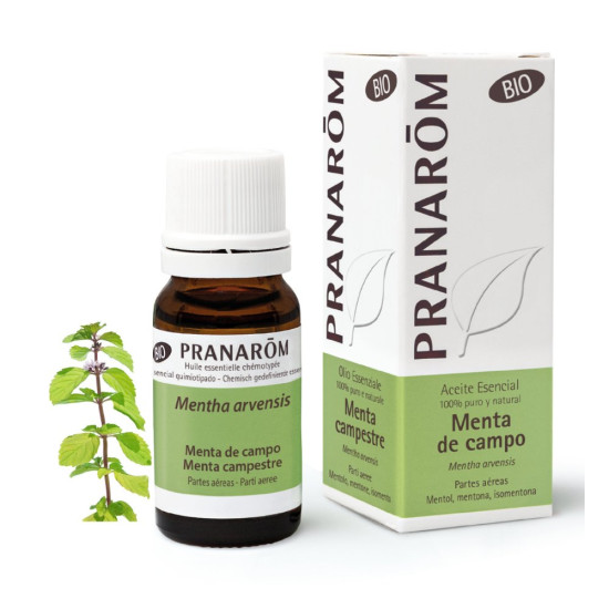 Oli Essencial de Menta de Camp (Mentha arvensis) Bio 10 ml Pranarom