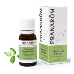 Oli Essencial de Gaulteria Olorosa Bio per a Massatge 10 ml Pranarom