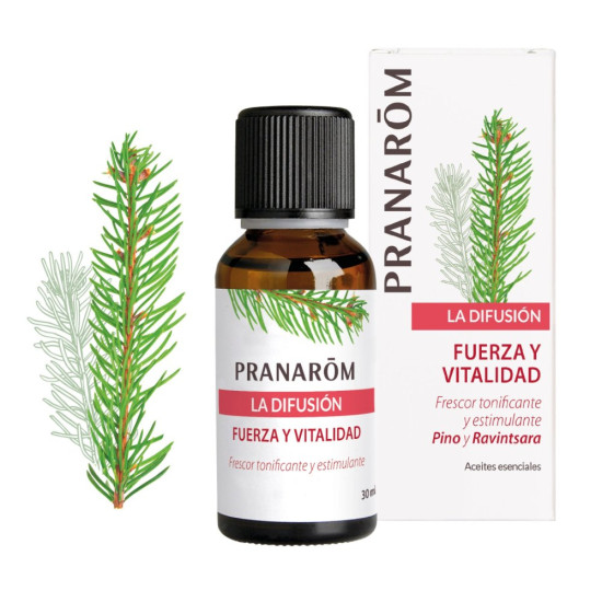 Strength and Vitality Pine and Ravintsara Diffuser Blend 30 ml Pranarom