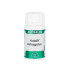 Holofit Astragalus Root Extract 180 capsules Equisalud