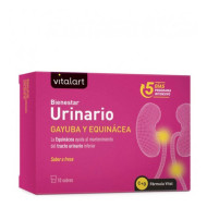Bienestar Urinario Urinary Wellbeing with Bearberry, D-Mannose and Cranberry 10 sachets Vitalart