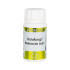 Holofungi Melena de León Lion's Mane Hericium erinaceus with Vitamin C 50 capsules Equisalud