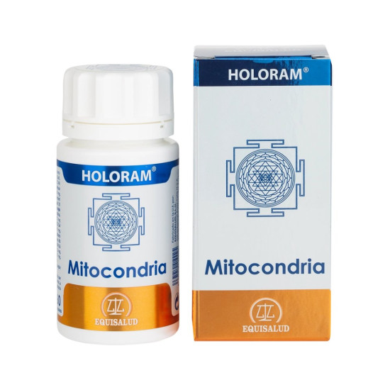 HoloRam Mitocondria Acetyl-L-Carnitine, Coenzyme Q10 and PQQ 60 capsules Equisalud