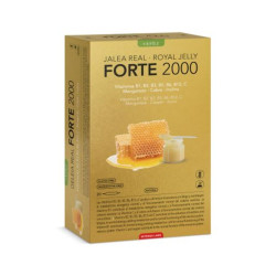 Bipole Jalea Real Forte 2000 con Vitaminas B y C 20 viales Intersa