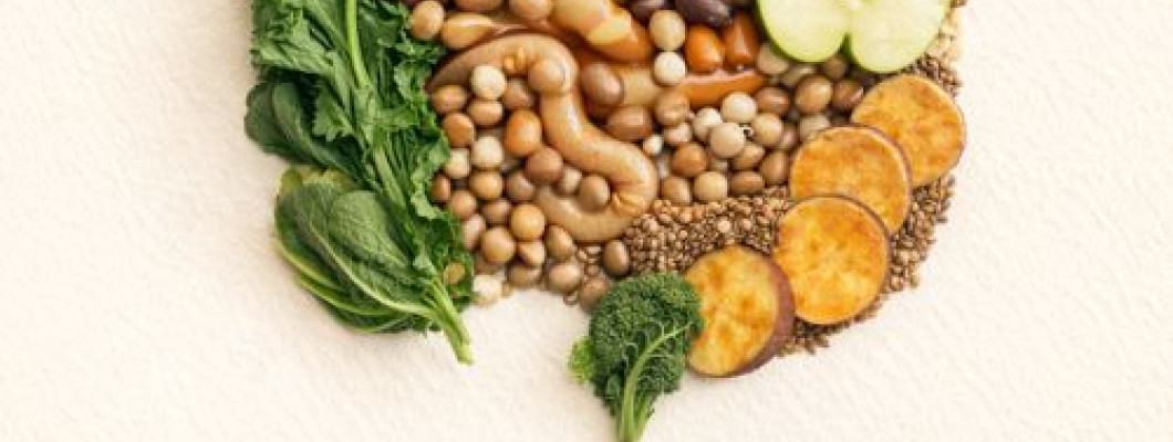 Fibra y microbiota intestinal: por qué tu intestino no la digiere pero tu salud la necesita