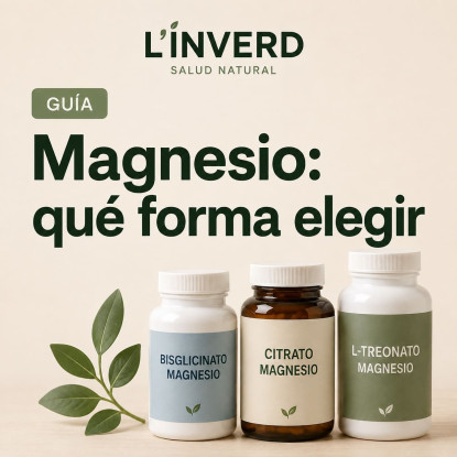 Magnésium : bisglycinate, citrate ou thréonate, lequel prendre et pourquoi