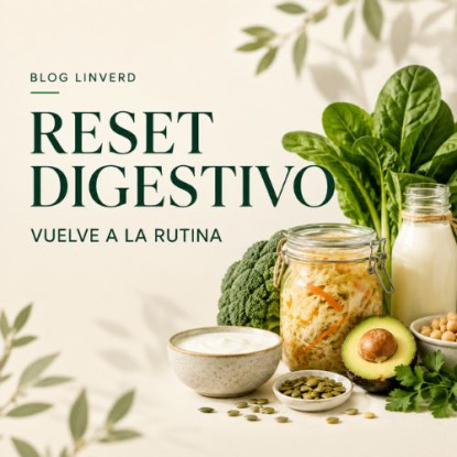 Vuelta a la rutina: cómo recuperar tu digestión después del verano