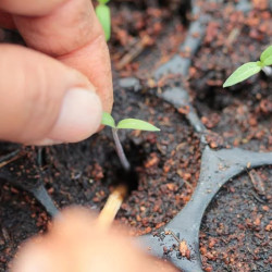 Une autre cuisine du monde est possible