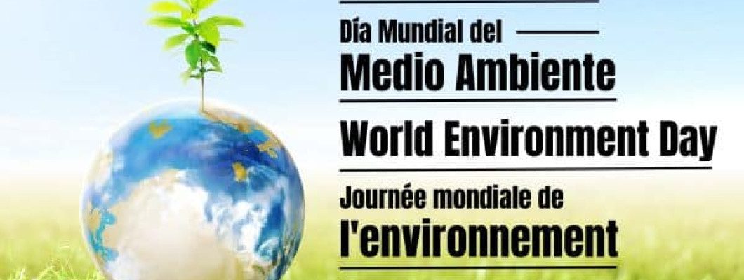 Dia Mundial del Medi Ambient!