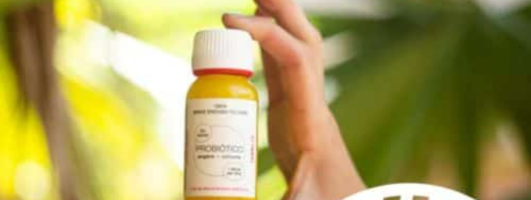 Inyección de probióticos de jengibre + cúrcuma