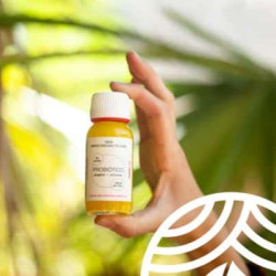 Inyección de probióticos de jengibre + cúrcuma