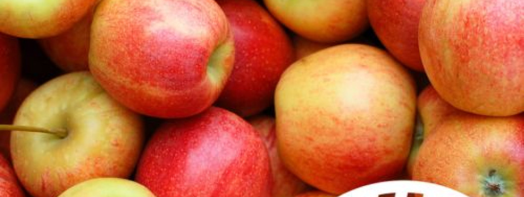 Cómo comer manzanas nutre el cuerpo y la mente