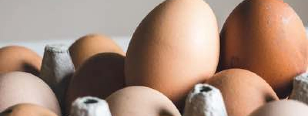 La veritat dels ous ecològics