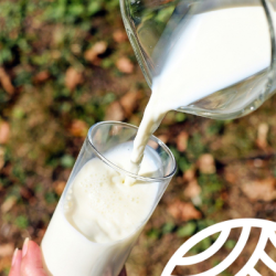 Llet fresca per sempre, no t'ho pensis més