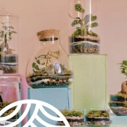 Un petit planeta al teu saló