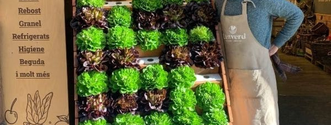 Connaissez-vous l'hydroponie ?