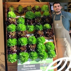 ¿Conoces la hidroponía?