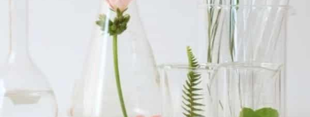 Cuidado personal ecológico y respetuoso con el medio ambiente