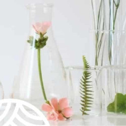 Cuidado personal ecológico y respetuoso con el medio ambiente