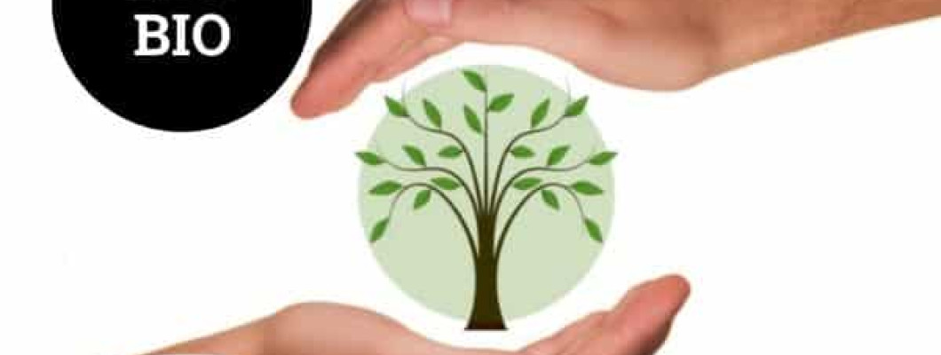 Ventajas de consumir alimentos ecológicos