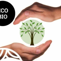 Ventajas de consumir alimentos ecológicos