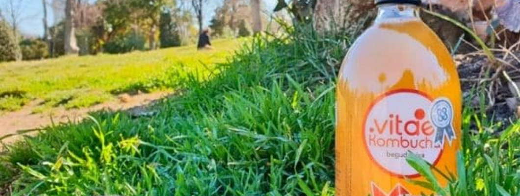 Kombucha, bebida organica refrescante y saludable