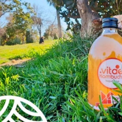Kombucha, bebida organica refrescante y saludable