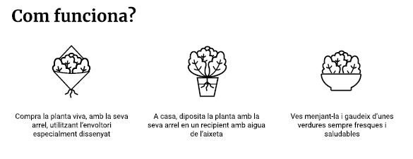 Hidropinia Com Funciona