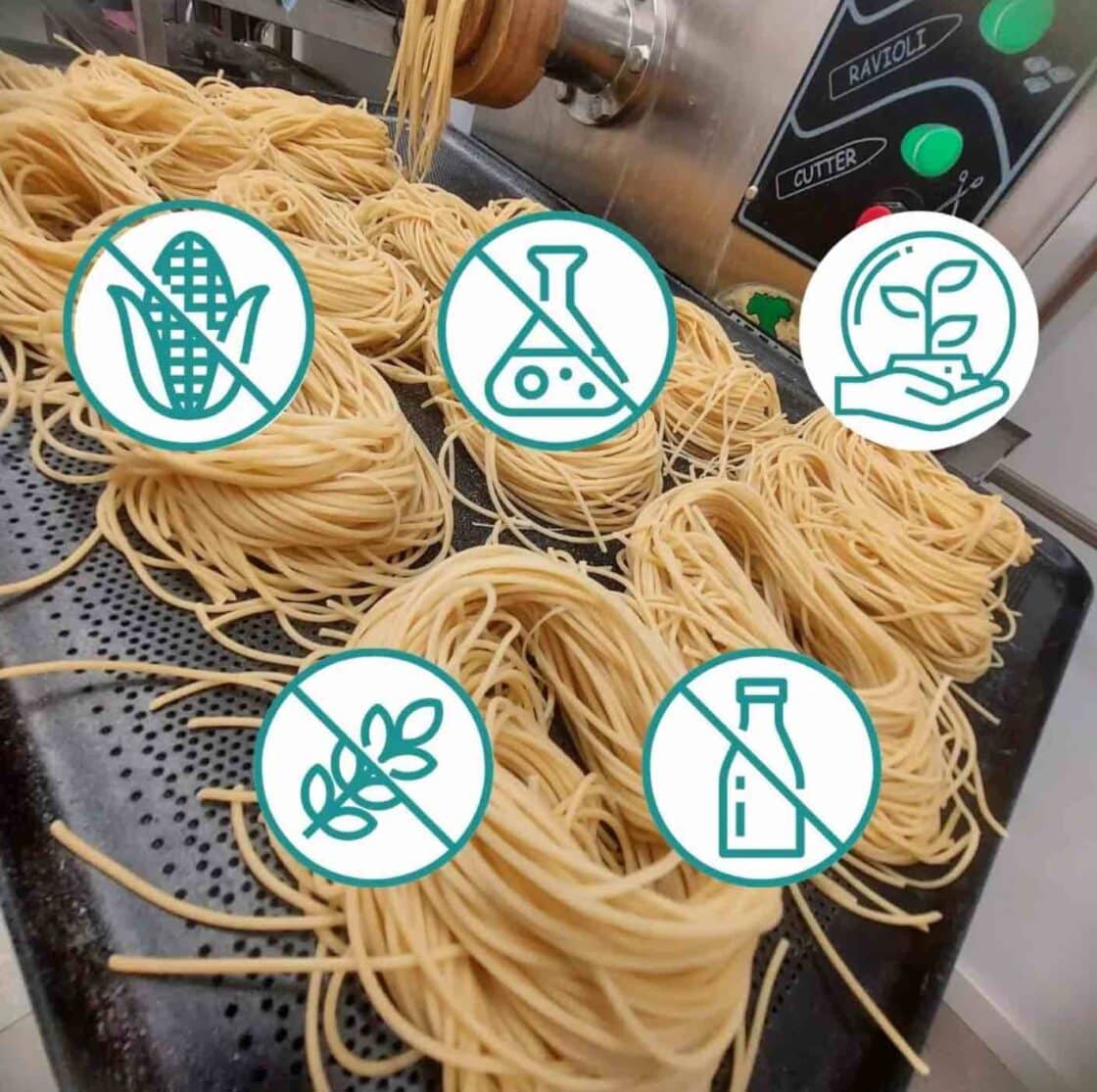Pasta Caracteriticas No Gluten No Lactosa Eco