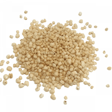 Quinoa Hinchada (100gr) ECO