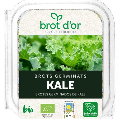 Brots germinats Kale 70gr Brot d'Or ECO