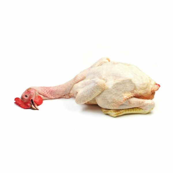 Pollo Ecológico De Corral 2.5 3 Kg. Aprox.