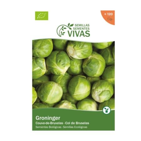 140967337 Llavors De Col De Bruxelas Groninger Sementes Vivas Eco