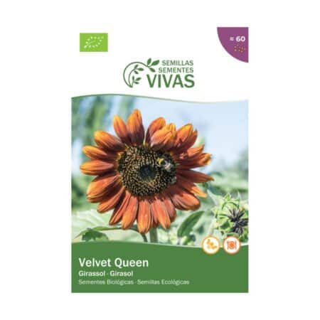 141215536 Llavors De Gira Sol Velvet Queen Sementes Vivas Eco