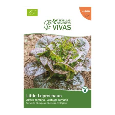 141215924 Llavors De Enciam Little Leprechaun Sementes Vivas Eco